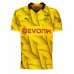 Borussia Dortmund Mats Hummels #15 Tredje Tröja 2023-24 Kortärmad